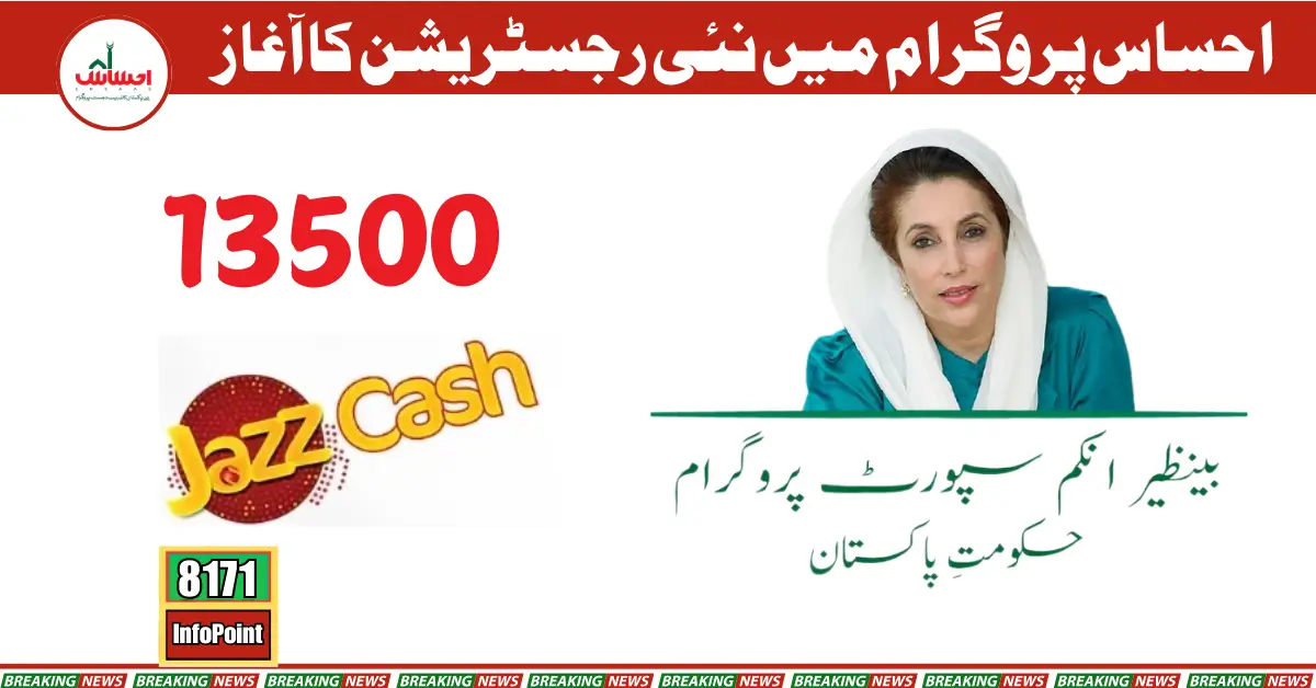 Ehsaas Program 8171 Check Online New Quarterly Payment 2025